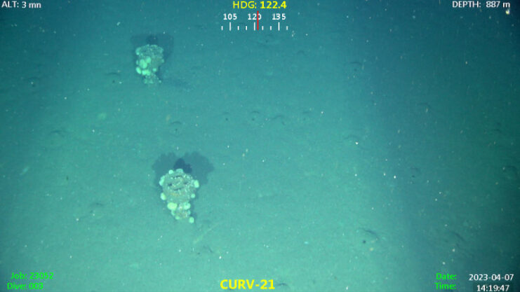WWII-era munitions on the seafloor