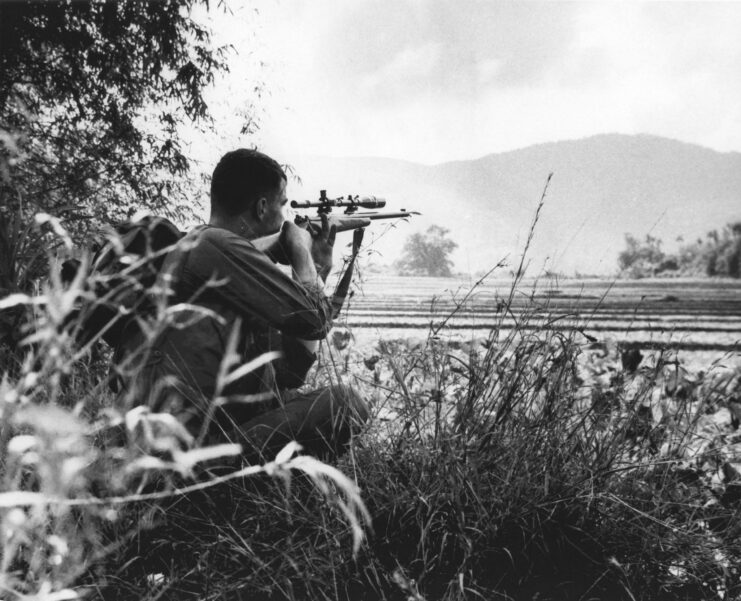 US Marine aiming a sniper rifle while crouched in tall grass