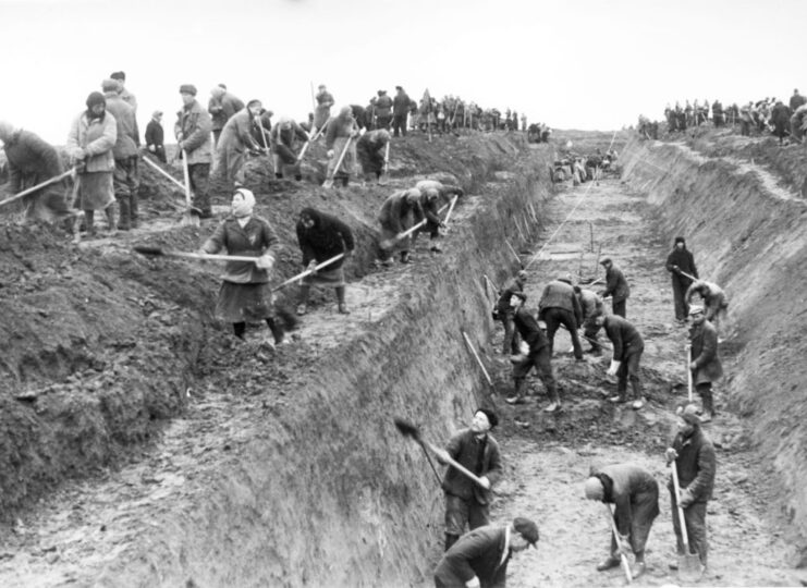 Soviet citizens digging an anti-tank trench