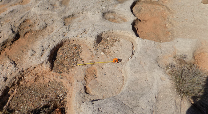 Tape measurer stretched out on the ground