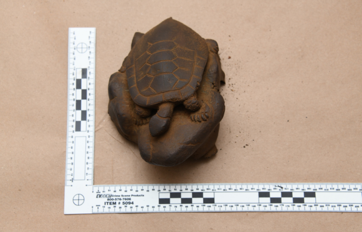 Ceramic turtle placed on a table with a measuring device