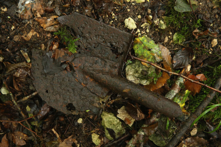 Rusty remnants of a metal spade on the forest floor