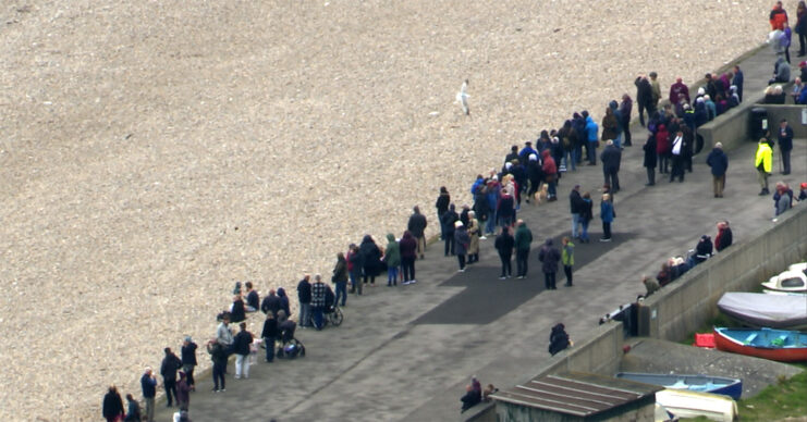 Crowd gathered along the edge of a beach