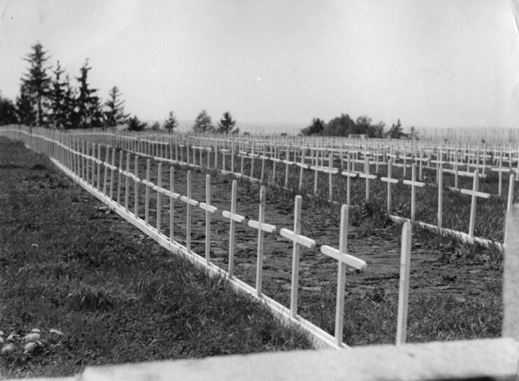 Rows of white crosses marking graves in a field