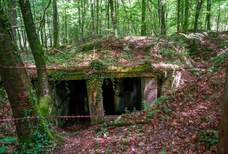 German fortification poking out of the forest floor