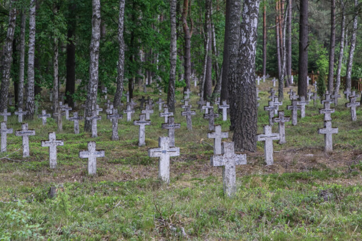 Crosses serving as grave markers lining the forest floor