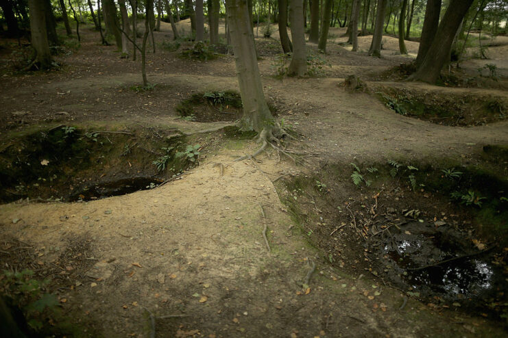 Bomb craters covering the forest floor