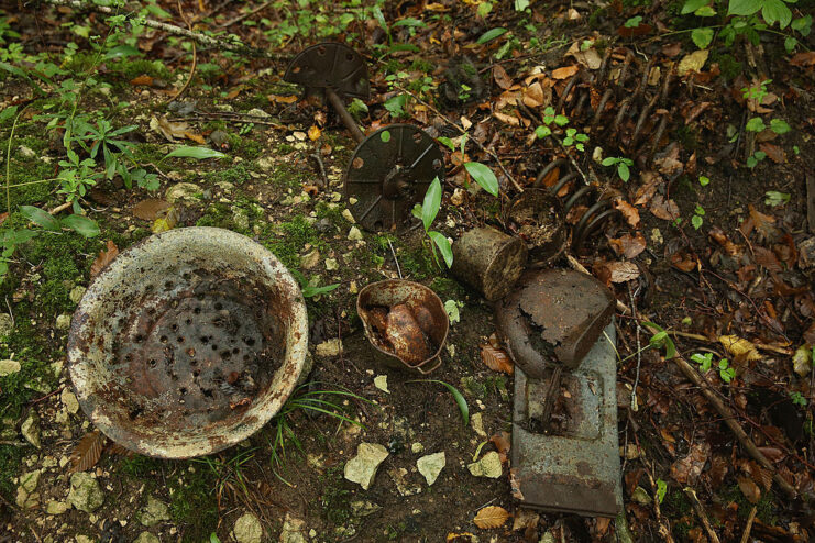 Rusty metal bowl, springs and a spool scattered on the forest floor