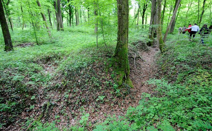 Group of people walking by a World War I-era trench in the middle of a forest