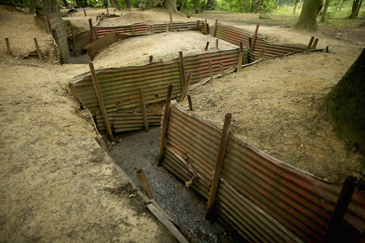 Preserved World War I-era trench running along the ground