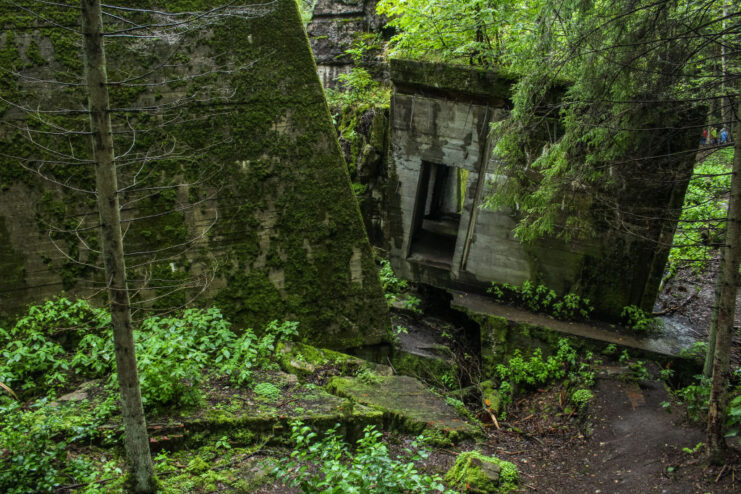 Remnants of the Wolfsschanze ("Wolf's Lair") covered in moss and vegetation