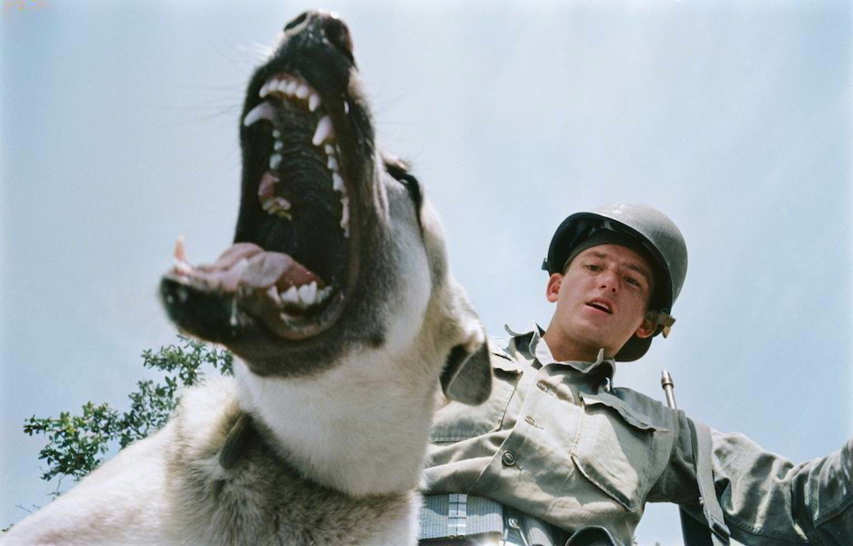 Photo Credits: Pix / Michael Ochs Archives / Getty Images. (Colorized by Palette.FM, resized.)