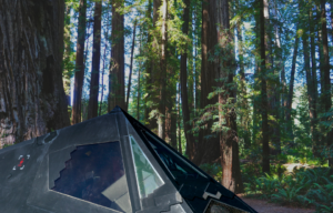 Woodland trail + Top portion of a Lockheed F-117 Nighthawk