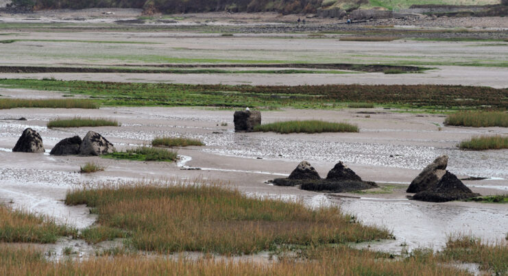Dragon's Teeth poking out of the land that's covered in sand and low water