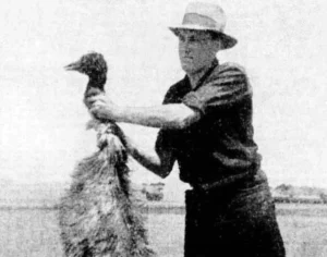 A man holding an emu killed by Australian soldiers