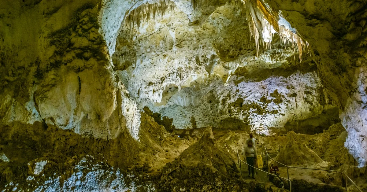 Carlsbad Caverns National Park - New Mexico.