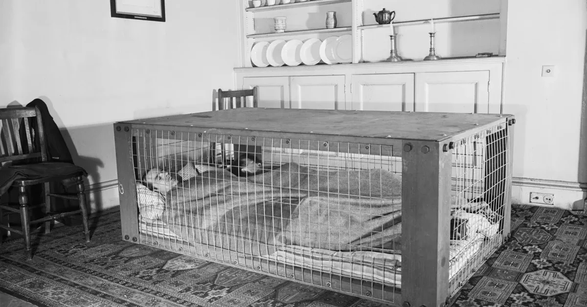 A Morrison shelter in use, circa 1941. 