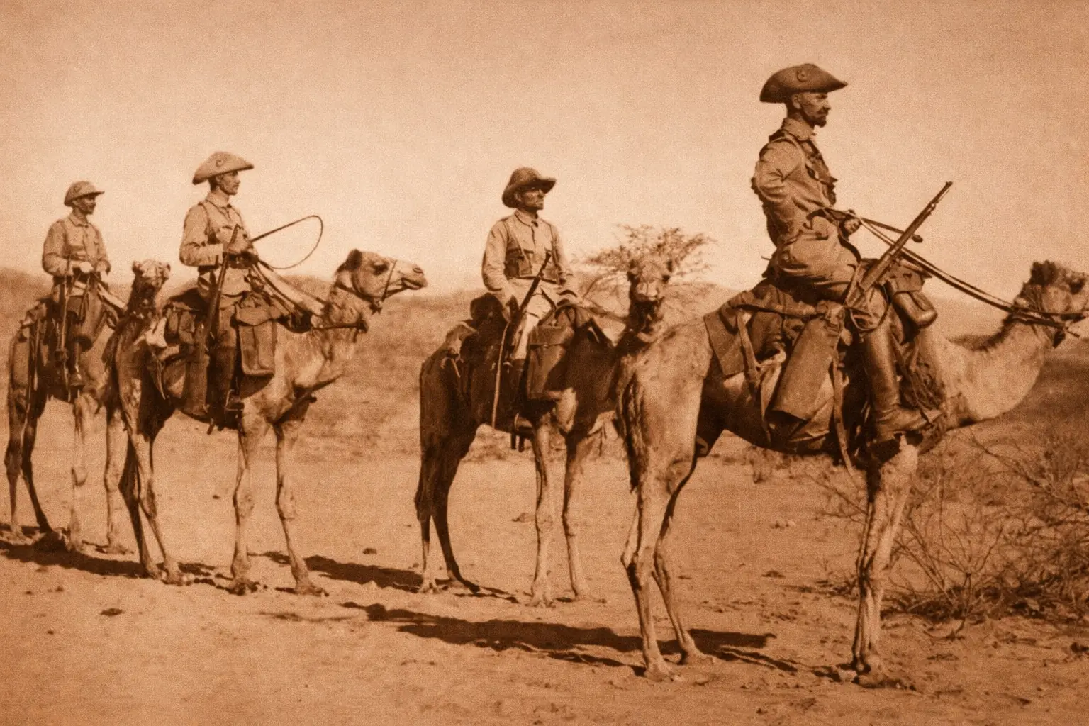 The camel corps