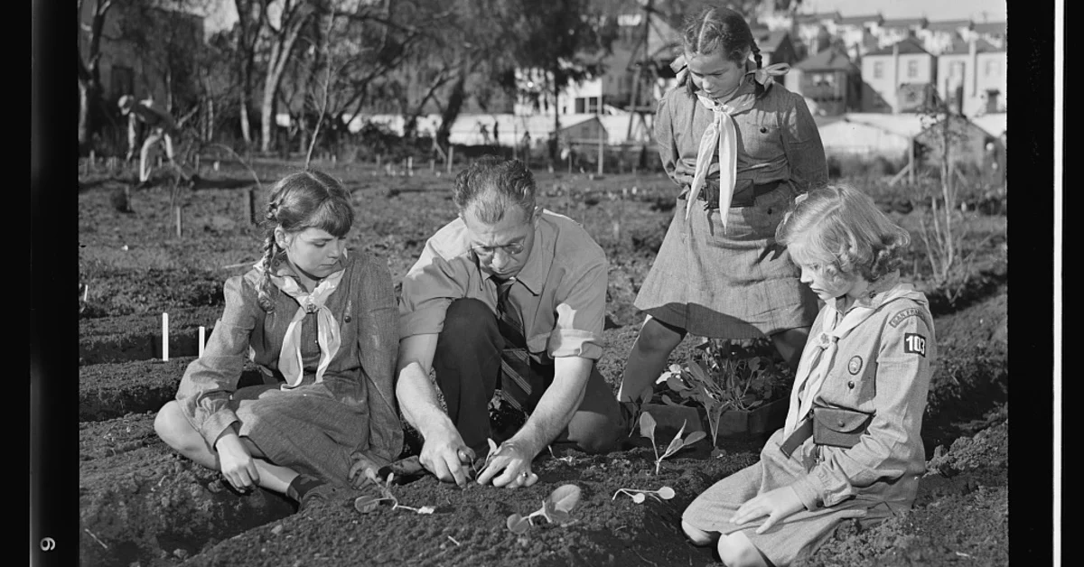 Victory Gardens--for family and country. Guiding hand behind the establishment of many West coast Victory Gardens, Professor Harry Nelson of San Francisco's Junior College still finds time to give his ten-year-old daughter Pat (left) and her Girl Scout friends some pointers in transplanting young vegetables, 1943 Feb.-Mar.