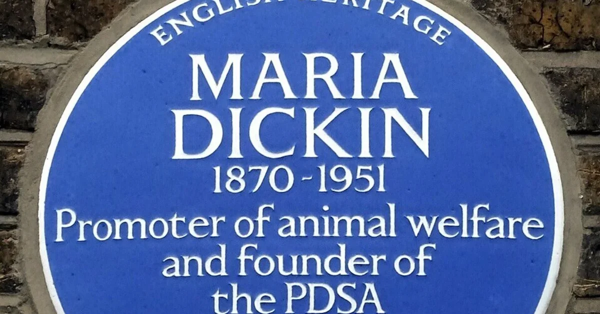 Blue plaque erected in 2015 by English Heritage at 41 Cassland Road, Hackney, E9 7AL, London Borough of Hackney to commemorate Maria Dickin