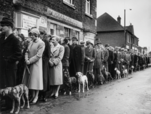 Cinematic black and white shot of a long line of people with their pets, standing in front of vet clinics in 1939 Britain.