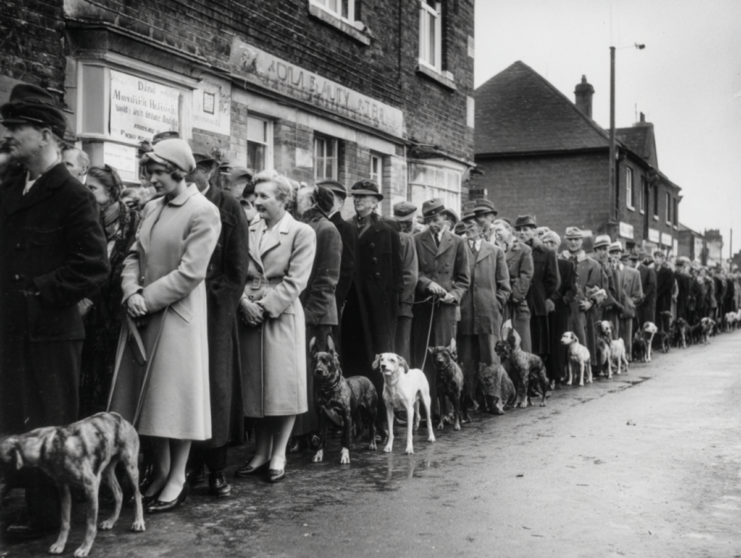 Cinematic black and white shot of a long line of people with their pets, standing in front of vet clinics in 1939 Britain.