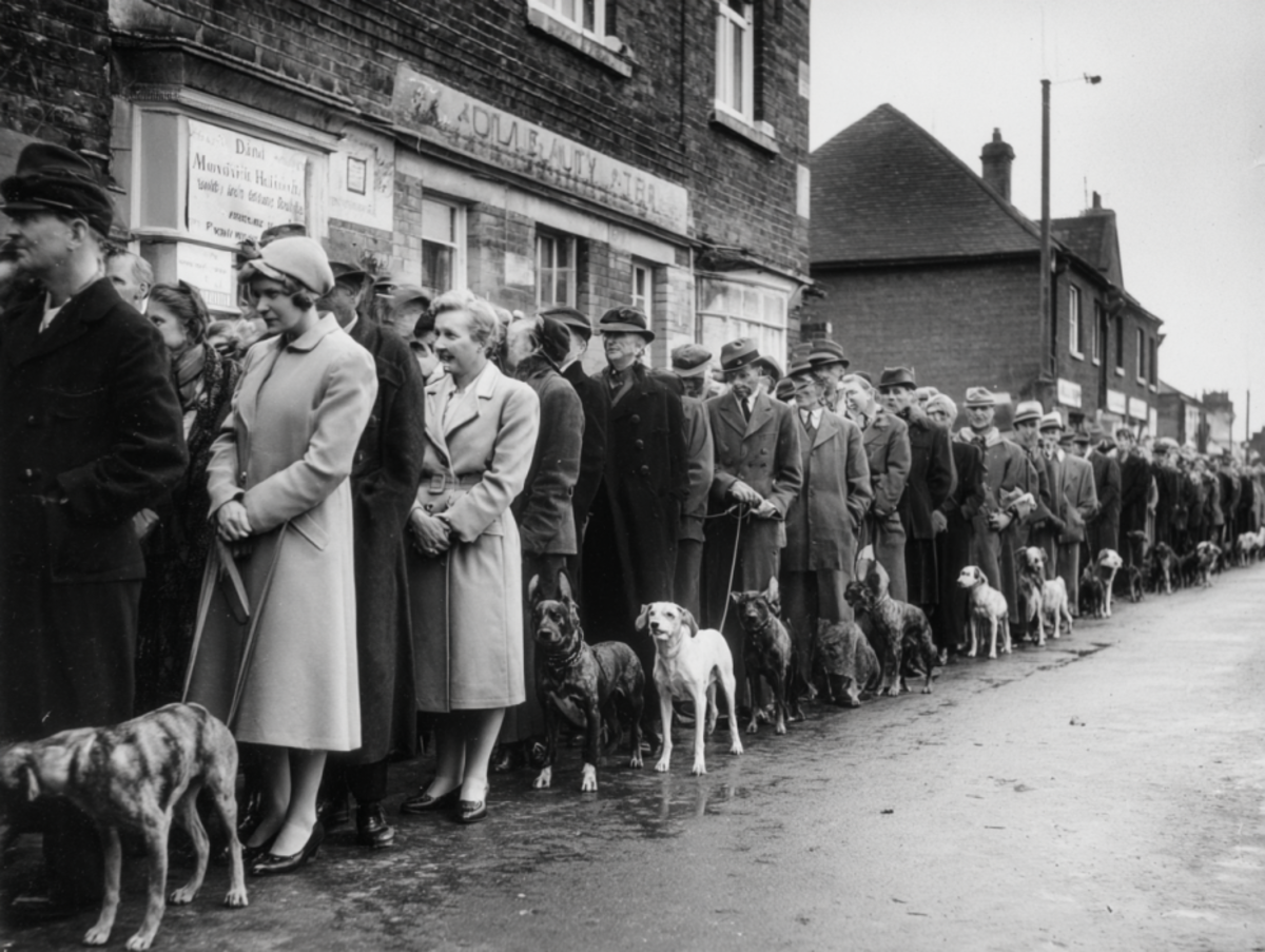 Cinematic black and white shot of a long line of people with their pets, standing in front of vet clinics in 1939 Britain.