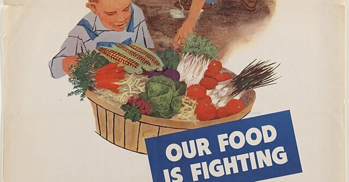 Plant a victory garden. Our food is fighting- Poster, 1943
