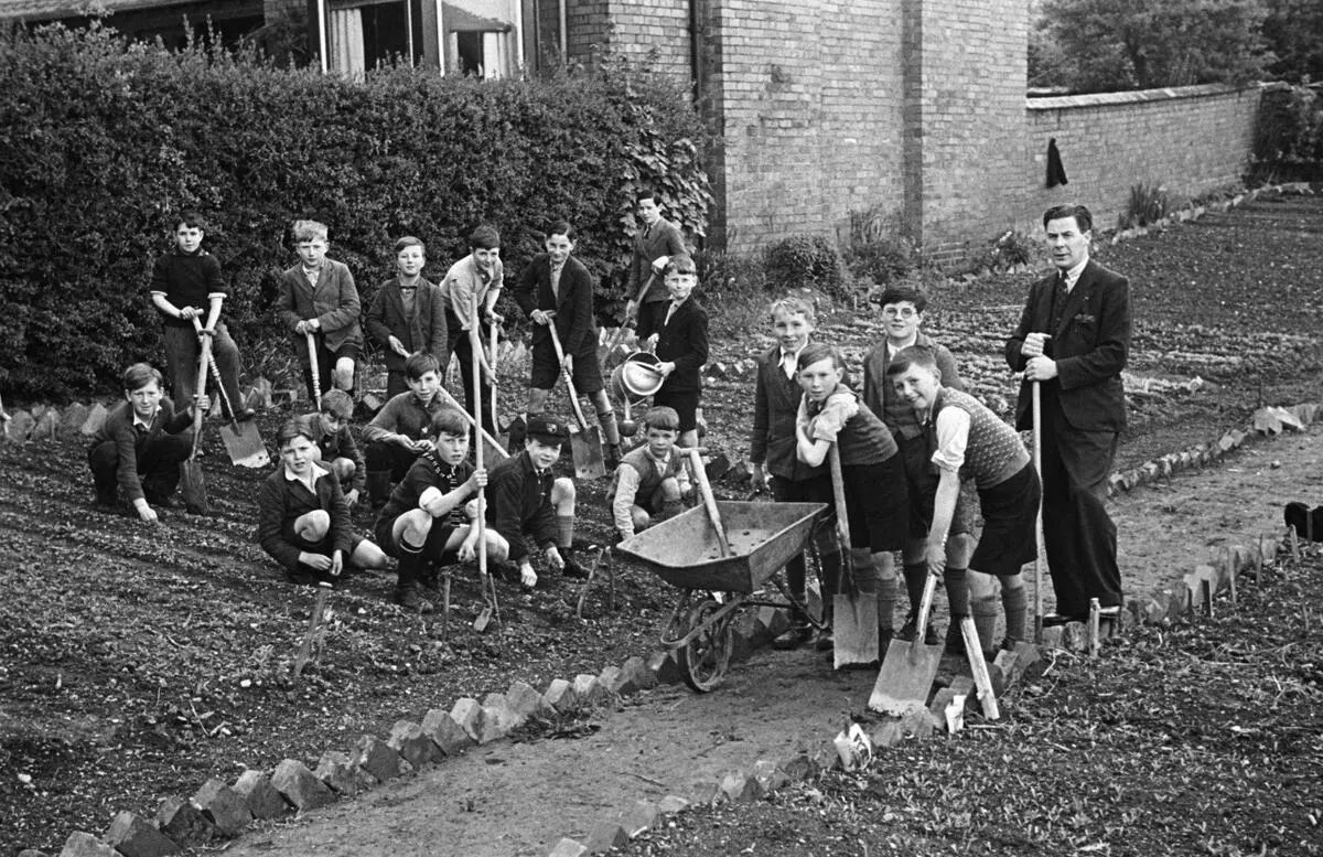 Schoolchildren from Montgomeryshire 'dig for victory'