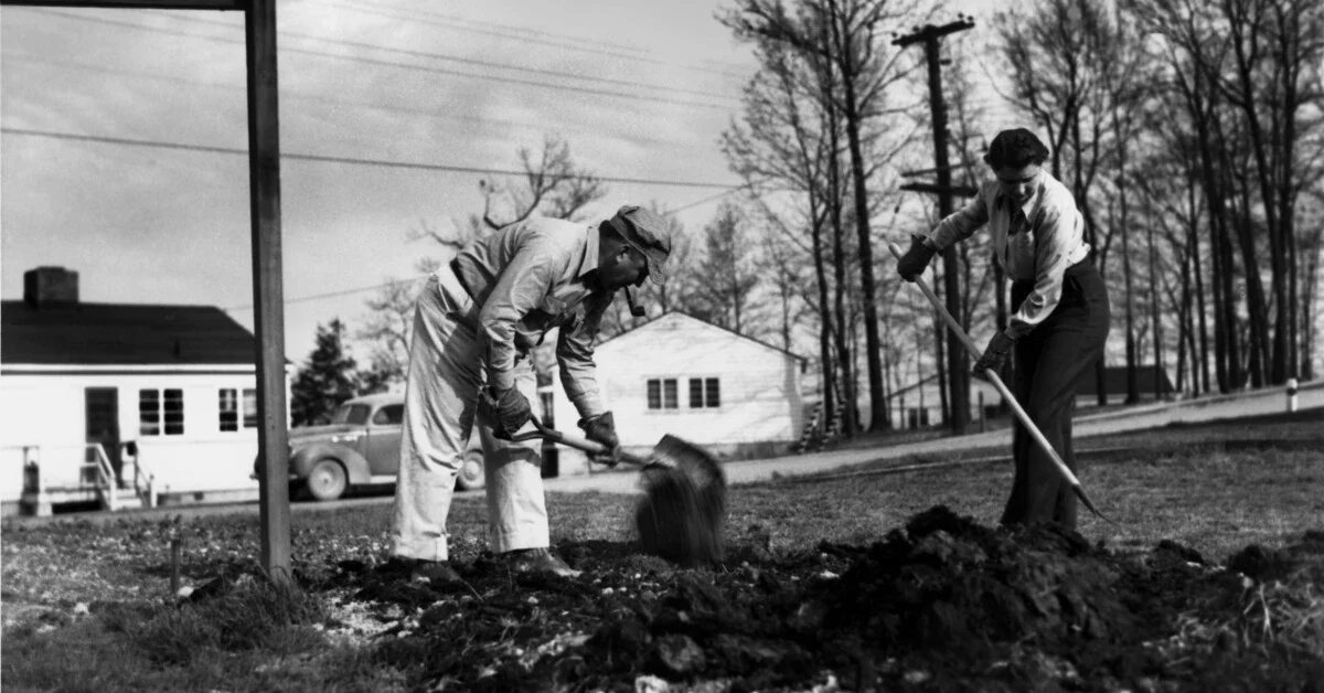 Victory Garden, Oakridge, Tennessee, 1945